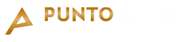 Punto Auto